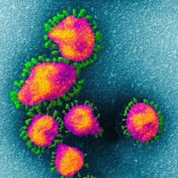 L’impegno del Gruppo per combattere l’epidemia da Coronavirus è globale